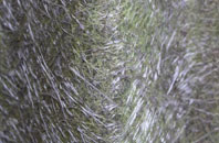 Dudley Hill fibreglass roof work